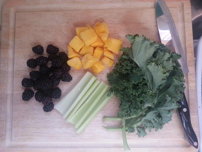 Standard Testing Recipe